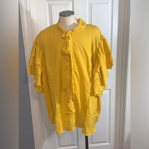 Ashley Stewart Plus Size Ruffle Blouse